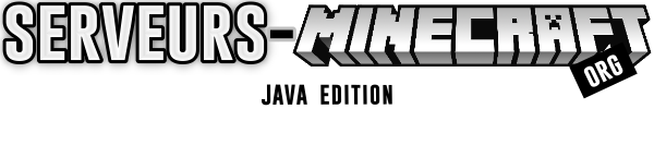 Serveur minecraft